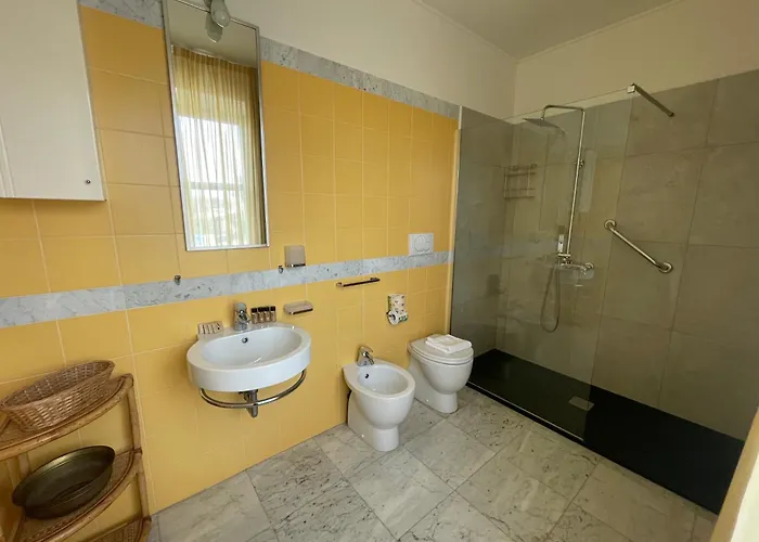 Solidago 3*