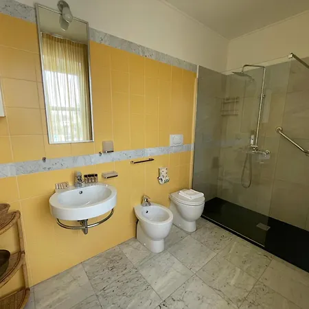 Solidago 3*